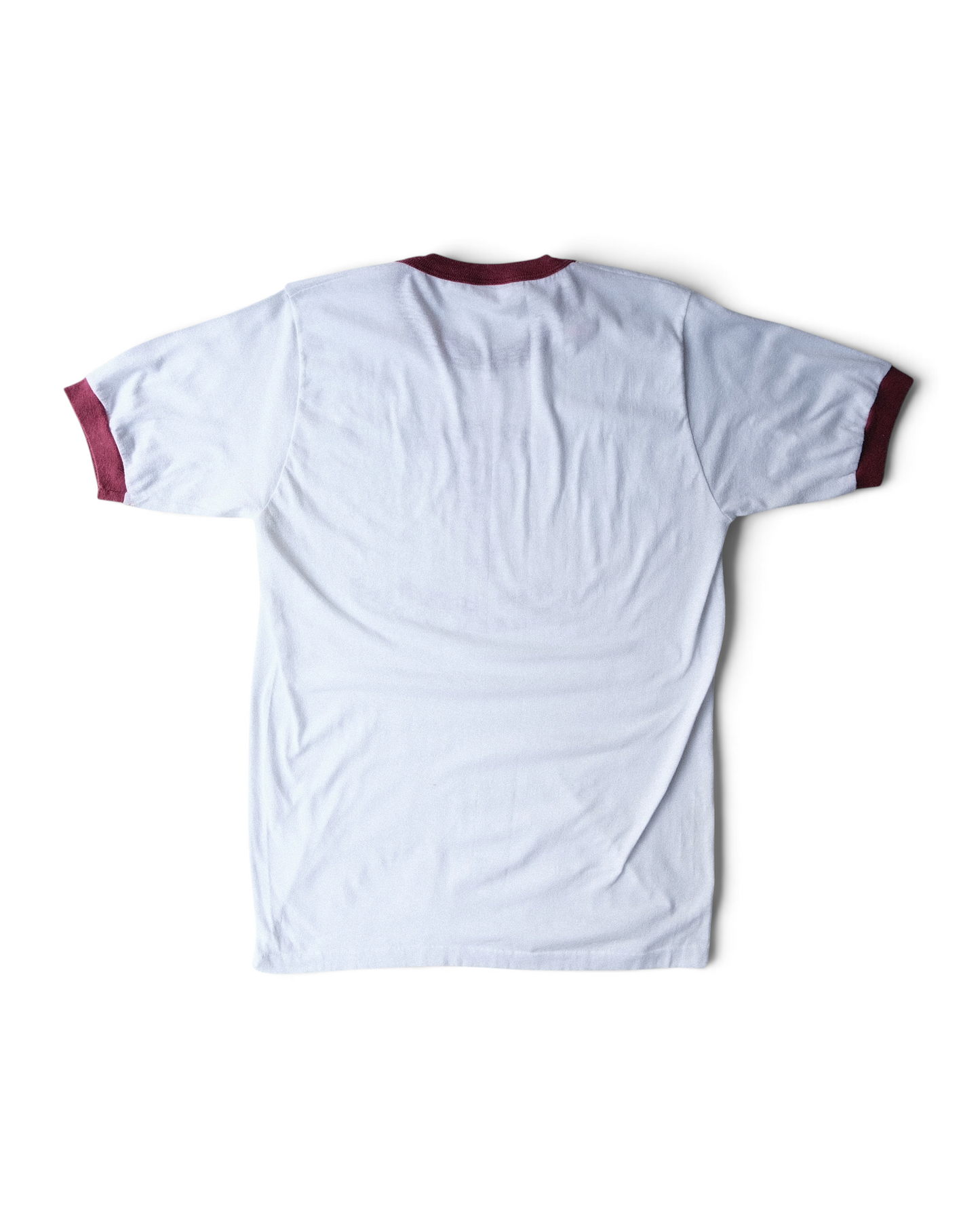 20 YEAR CLASS REUNION Ringer Tee