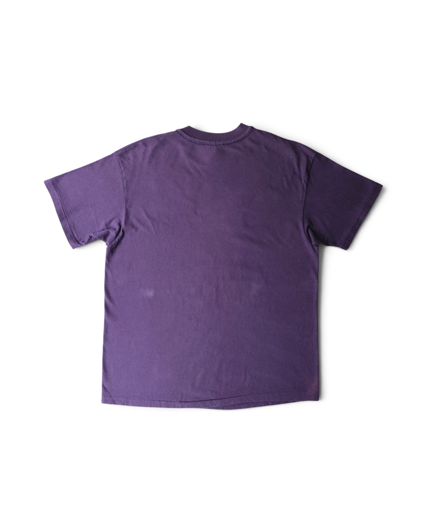 Hanes - Hummingbird Art Tee