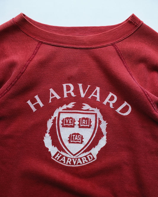 70s Champion - Raglan Sleeve Crew Neck Sweat