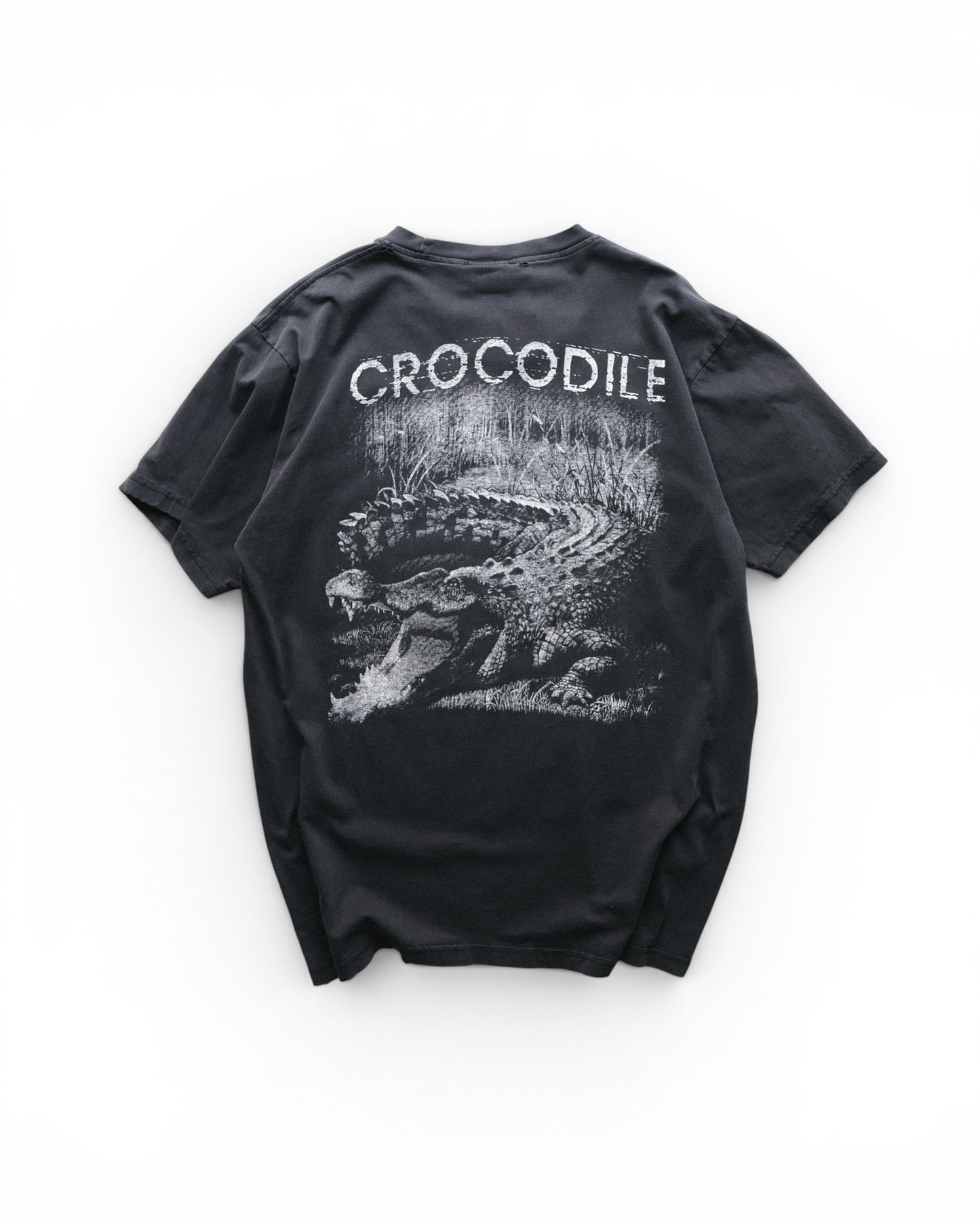 Crocodile