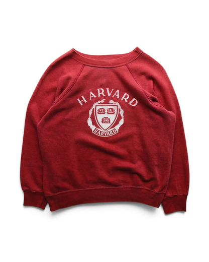 70s Champion - Raglan Sleeve Crew Neck Sweat